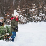 Where to get a christmas tree cutting permit at Lake Tahoe