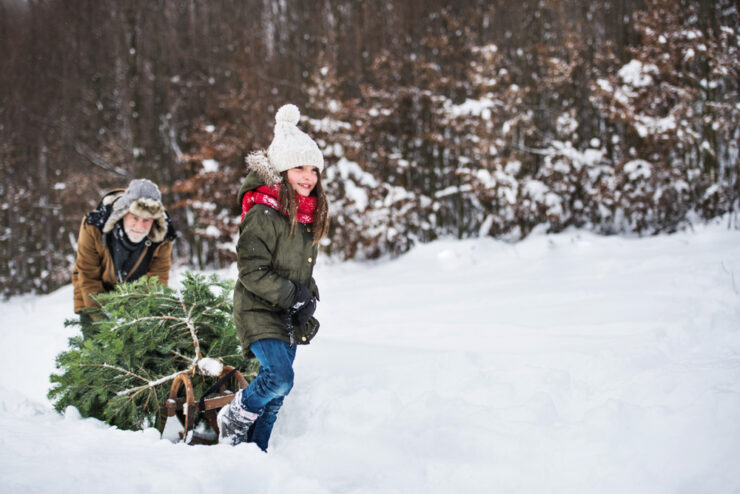 Where to get a Christmas tree cutting permit at Lake Tahoe.